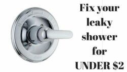 Don’t Let A Leaky Delta Shower Faucet Leaking from Spout Drain Your Wallet
