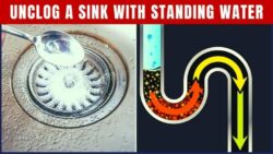 Effective Ways to Unclog a Drain with Standing Water