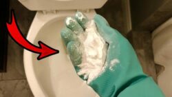 Effective Methods to Remove Hard Water Stains in a Toilet