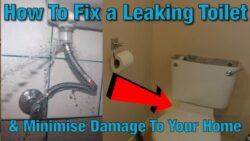 7 Cost-Effective Ways to Fix a Leaky Toilet with a Plumber