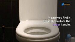 How to Retrieve an Item from a Flushed Toilet